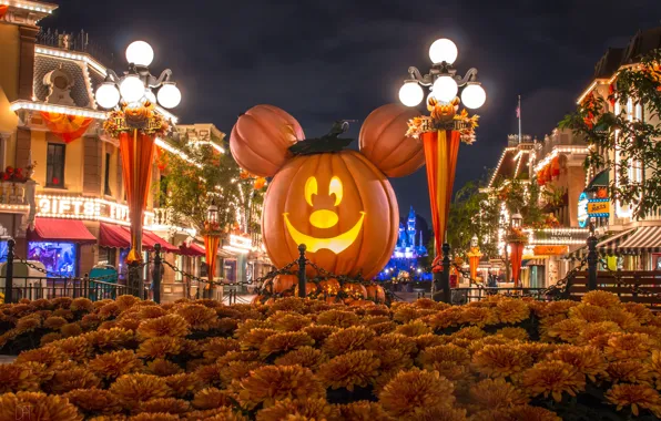 Flowers, night, design, lights, Park, holiday, street, home