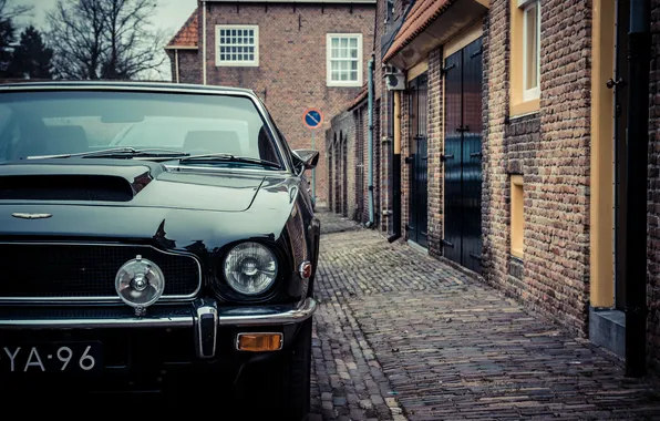 Aston Martin, Front, tree, street, bulding