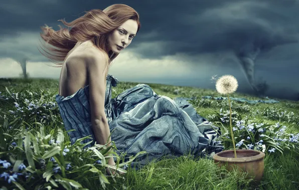Picture grass, girl, creative, dandelion, the wind, hurricane, pot, brown hair