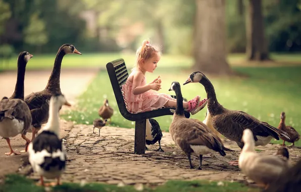 Picture girl, bench, geese
