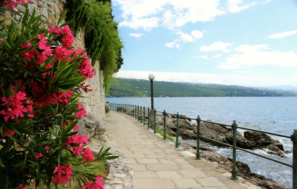 Picture sea, flowers, stones, coast, the fence, lantern, Croatia, rhododendron