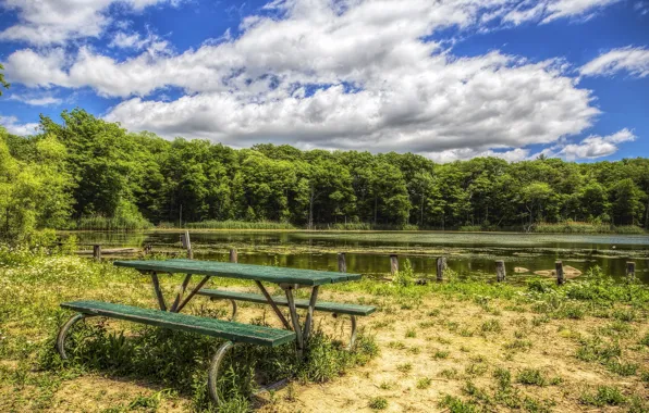 Forest, bench, lake, HDR, summer, sky, coast, forests
