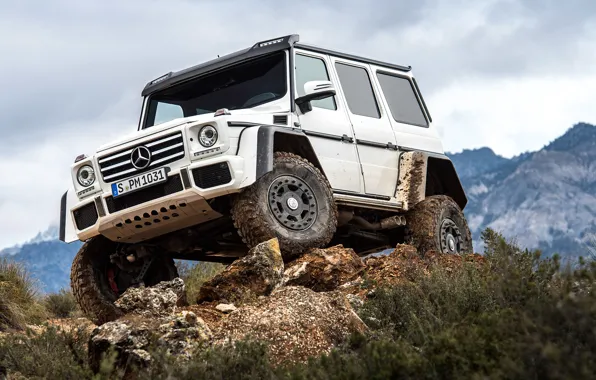 White, Mercedes, Mercedes, G500, 4x4²