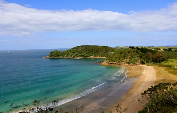 Sea, summer, nature, summer, sea, nature