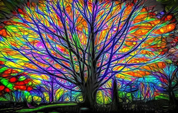 Picture night, rendering, tree, branch, glow, picture, fairy forest, the game of color