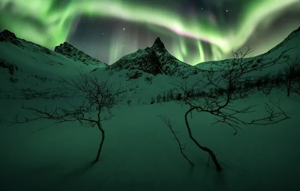 Winter, the sky, snow, trees, mountains, night, the slopes, Northern lights