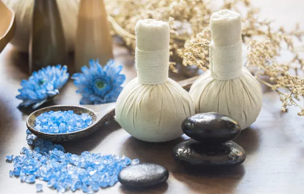 Flowers, stones, chrysanthemum, Spa, bags