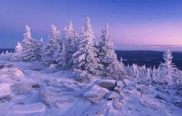 Picture winter, snow, trees, stones, ate, Russia, Ural, The Ridge Urenga