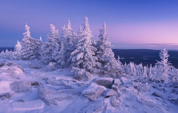 Winter, snow, trees, stones, ate, Russia, Ural, The Ridge Urenga