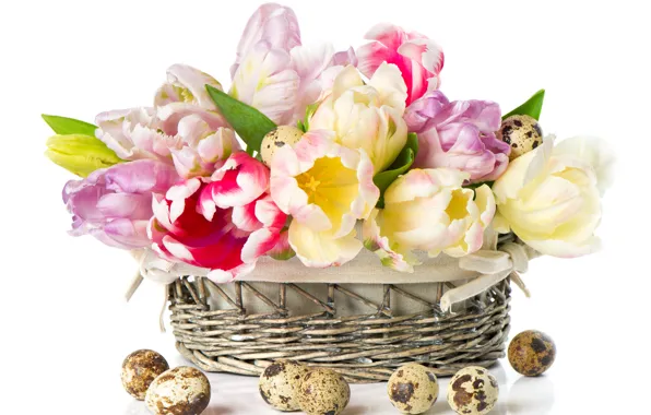 Holiday, eggs, Easter, tulips, basket, quail