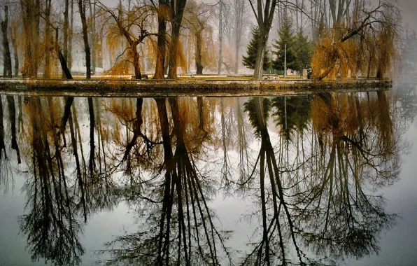 Picture autumn, trees, lake