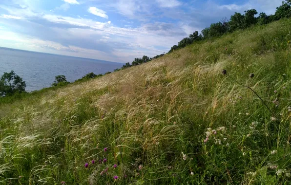 Water, Nature, Volga