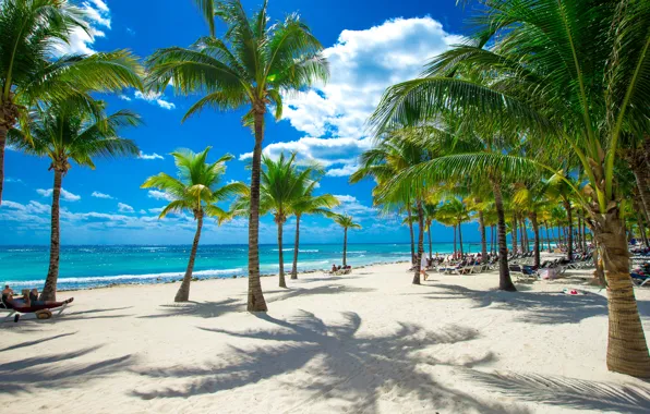 Picture sand, sea, beach, the sky, the sun, clouds, tropics, palm trees