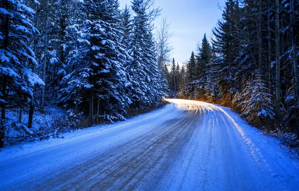 Picture winter, road, forest, the sun, snow, trees, turn