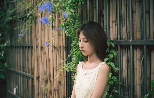 Ivy, Beautiful, Asian, Model, Flower, Woman, Cute, Pretty