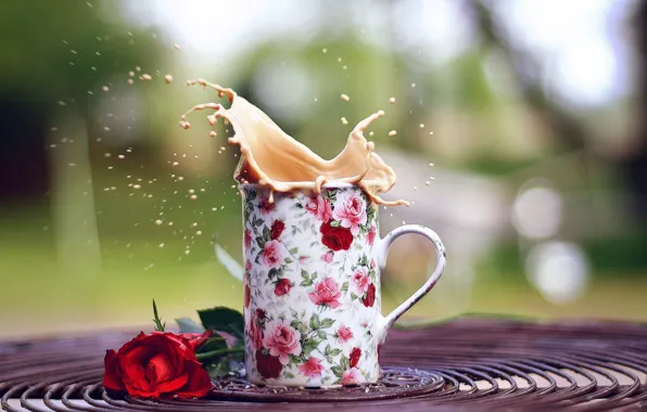 Flowers, squirt, background, widescreen, Wallpaper, mood, mug, Cup