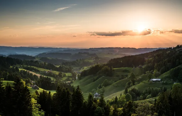 Forest, summer, the sky, the sun, mountains, valley
