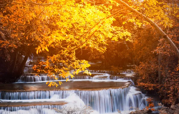 Landscape, nature, rocks, shore, vegetation, waterfall