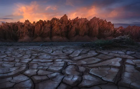 Clouds, mountains, branches, cracked, rocks, earth, desert, tops