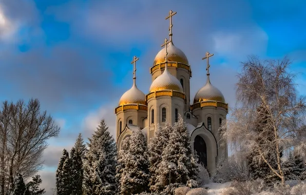 Picture winter, trees, Church, Russia, dome, Volgograd, Mamaev Kurgan, Roman Vasiliev