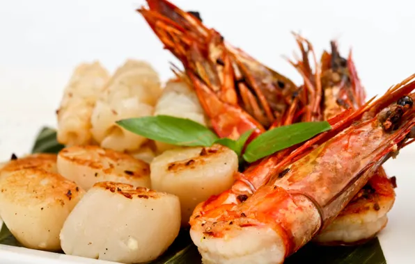 Picture greens, shrimp, scallop, seafood salad