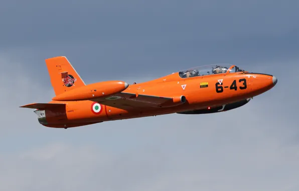 Picture the plane, training, light attack, Aermacchi, MB-326