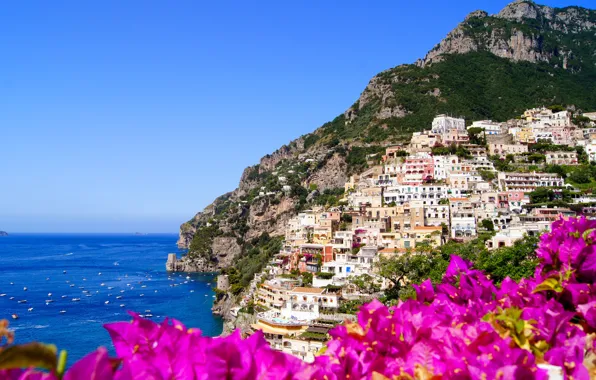 Picture flowers, nature, the city, rocks, coast, home, Italy, Italy
