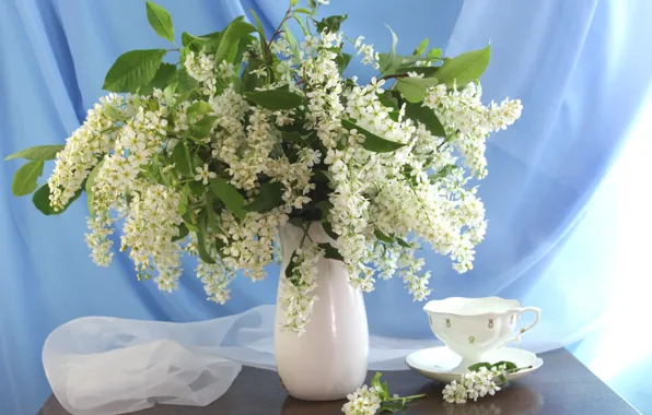 Bouquet, Cup, cherry