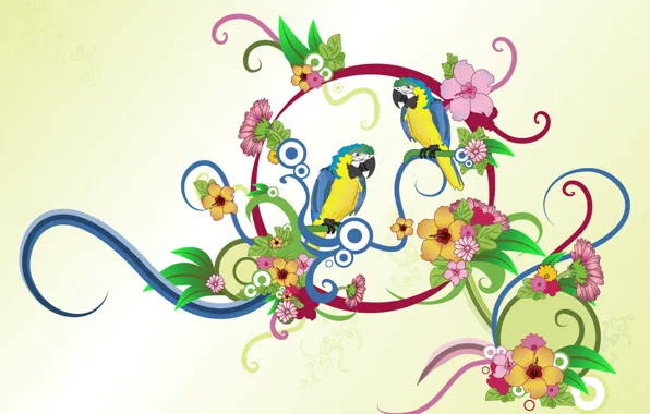 Picture flowers, pair, parrots, two