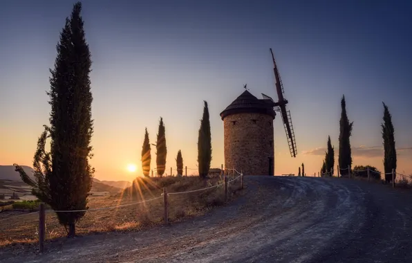Road, the sun, trees, morning, cypress, windmill