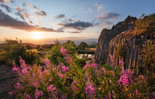 Flowers, mountains, stones, rocks, Ivan-tea