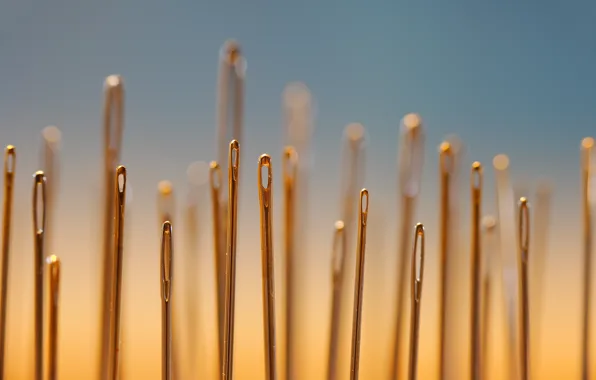 Wallpaper macro, needles, background