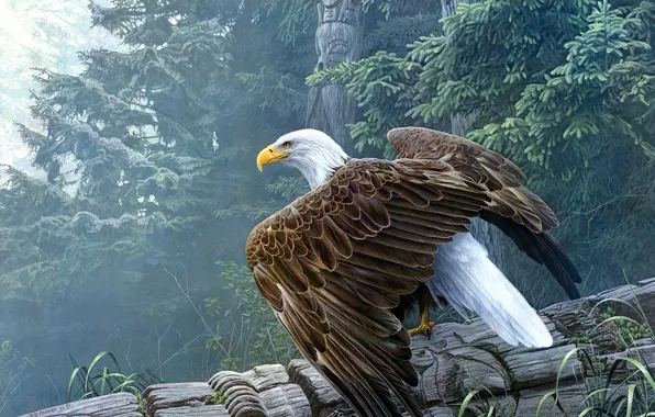Forest, look, branches, nature, fog, bird, eagle, posts