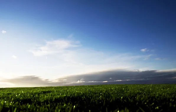 Field, the sky, grass, clouds