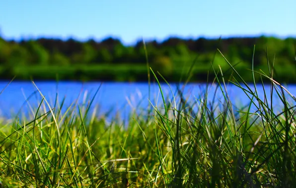 Picture the sky, grass, green, river.