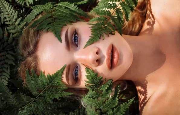 Look, leaves, girl, face, fern, Viktor Rakov