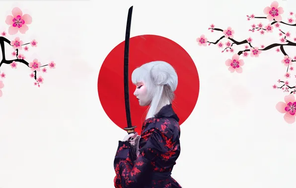 Picture The sun, Girl, Minimalism, Sakura, Japan, Sword, Background, Japan