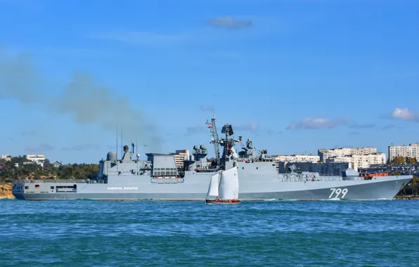 Frigate, Sevastopol, the project 11356, Admiral Makarov
