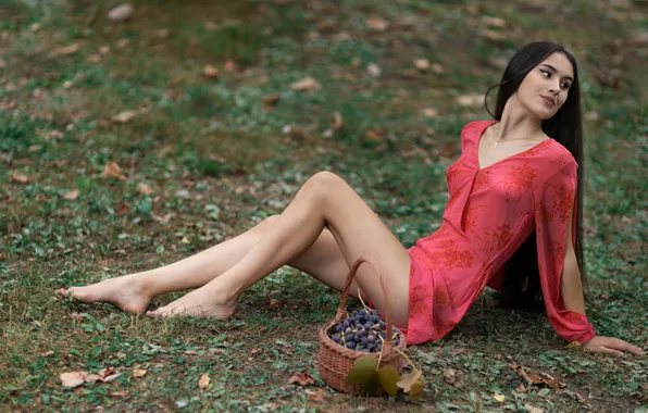 Picture basket, model, legs, red dress, long hair, on the grass, sitting, cute girl