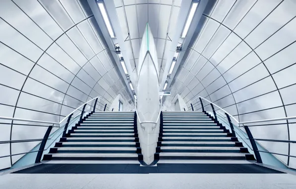 White, ladder, the tunnel