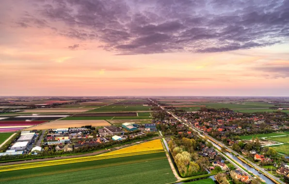 Field, the sky, clouds, trees, home, horizon, panorama, channel