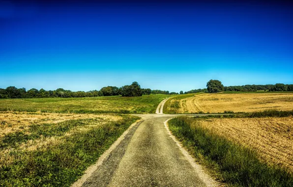 Road, field, summer
