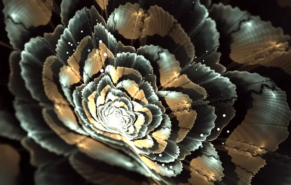 Picture flower, light, graphics, spot, fractal, bokeh
