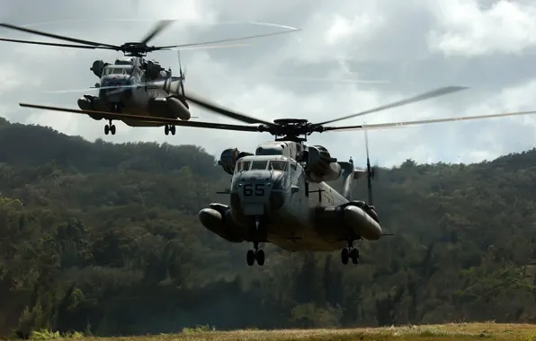 Picture NATO, landing, landing helicopters
