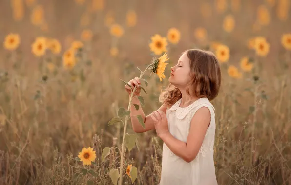 Picture summer, sunflower, girl