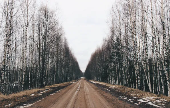 Picture road, nature, fog
