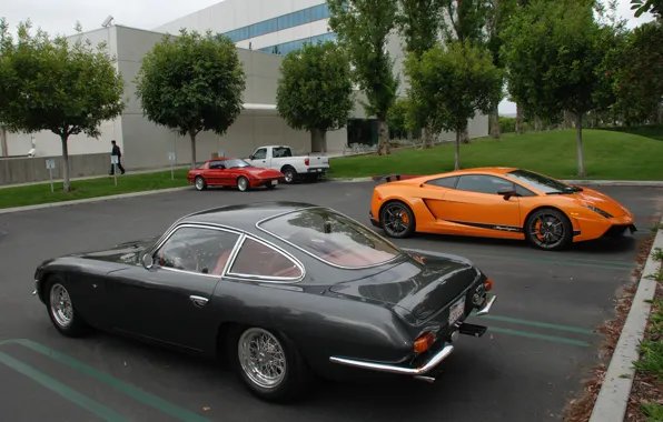 Lamborghini, 350 GT, 1964