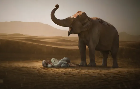 Sand, girl, pose, desert, elephant, dunes, lies, Sands