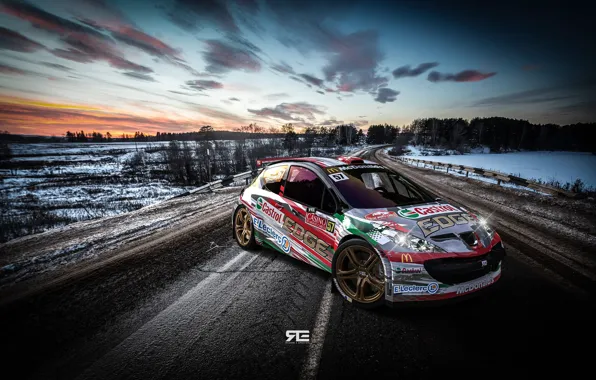 Auto, Road, Sport, Machine, Peugeot, WRC, Rally, Rally