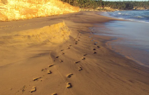 Beach, India, The Indian ocean, Molur, Kavalam